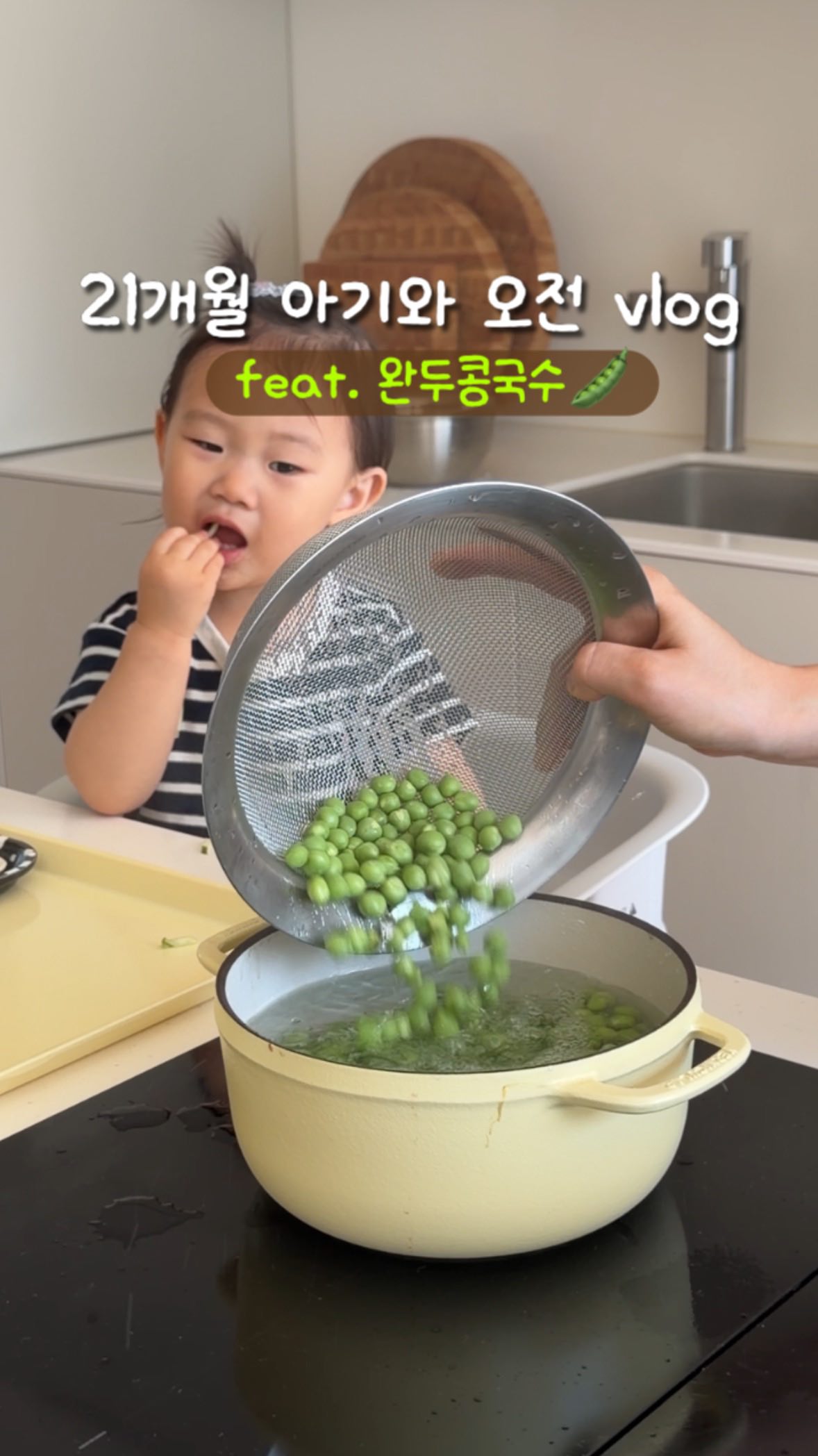캠트레이