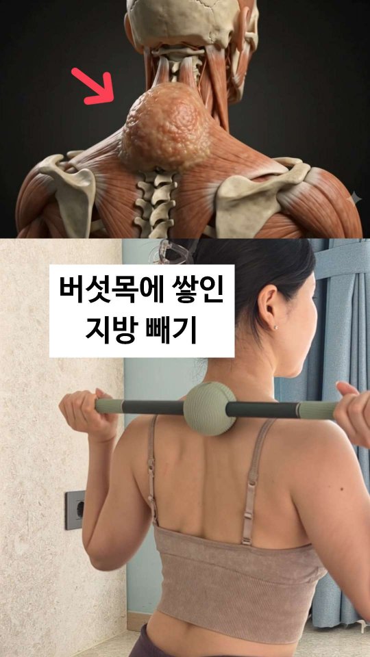바리바디 마사지볼