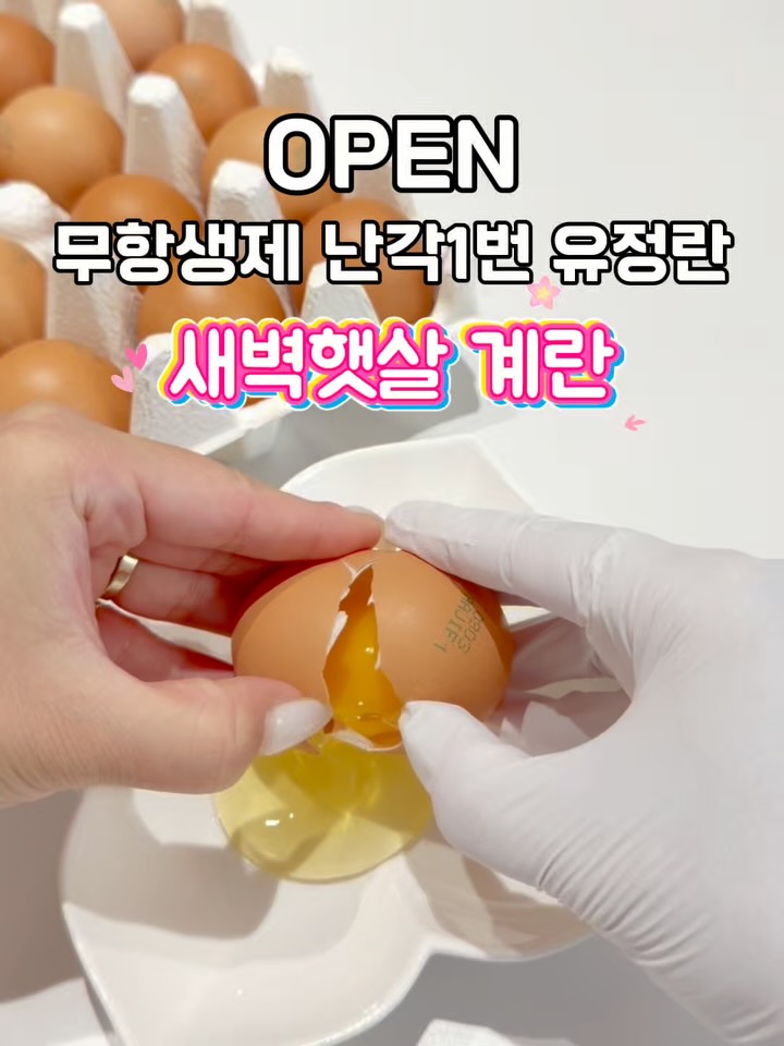 새벽햇살 유정란 20구