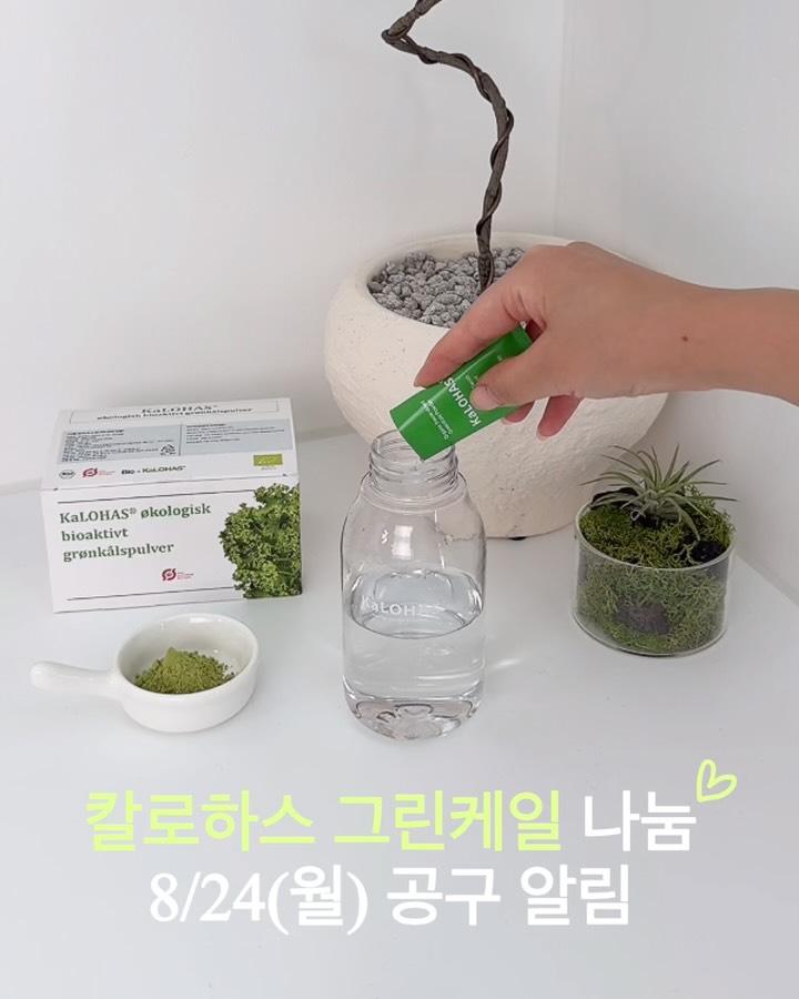 덴마크 유기농 그린 케일