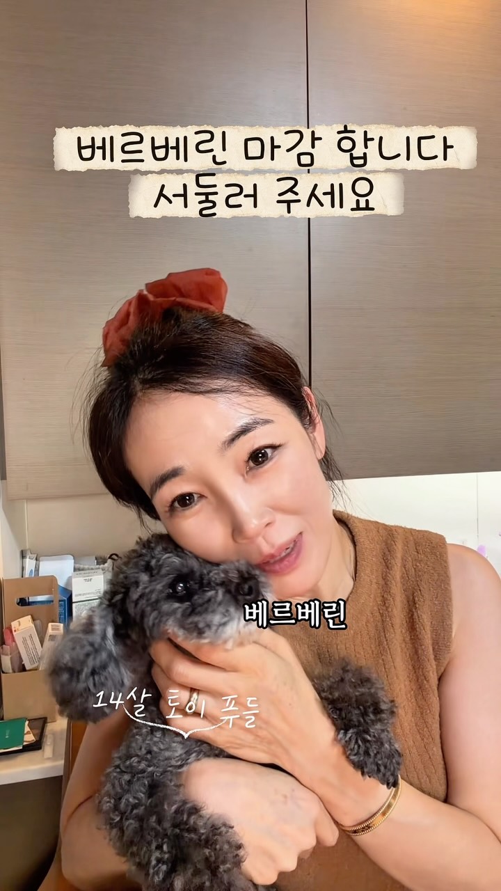 YDY 베르베린