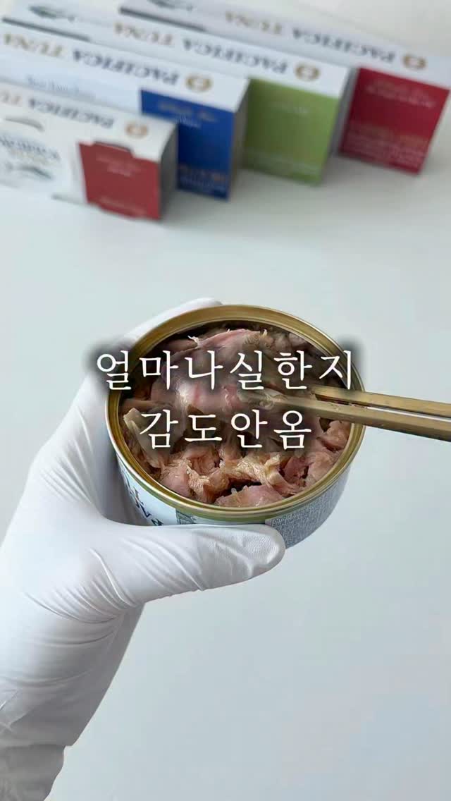퍼시피카튜나 참치