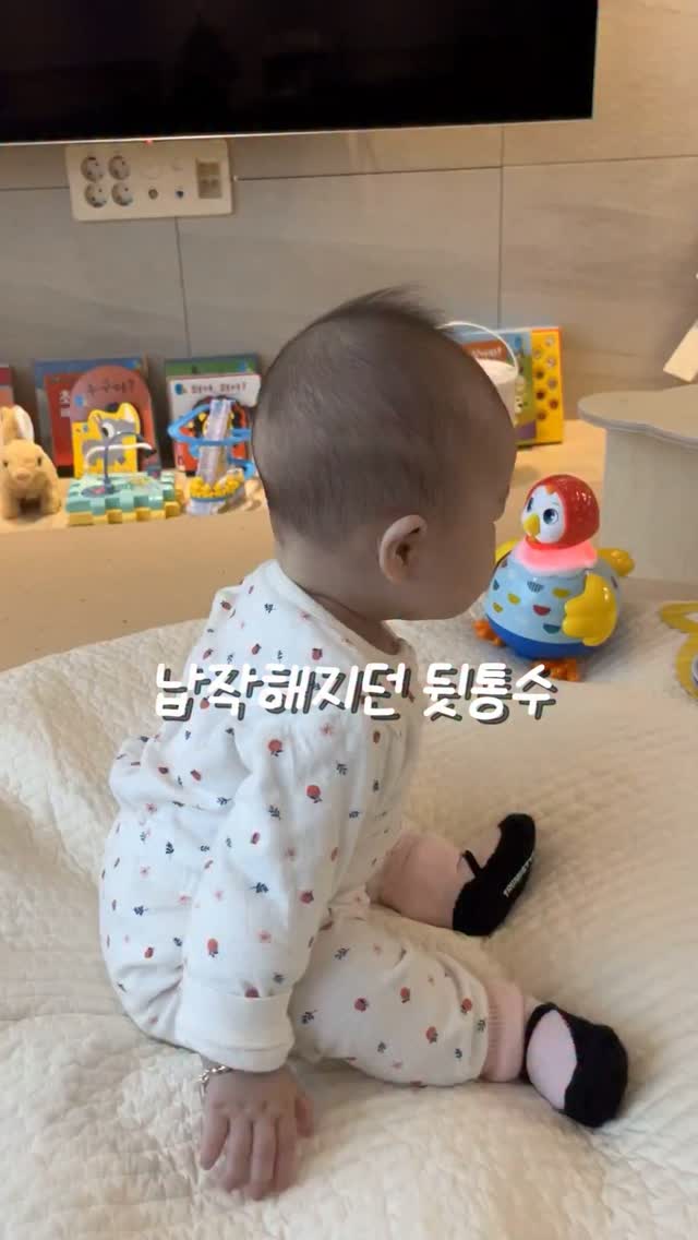 아이누오 두상베개