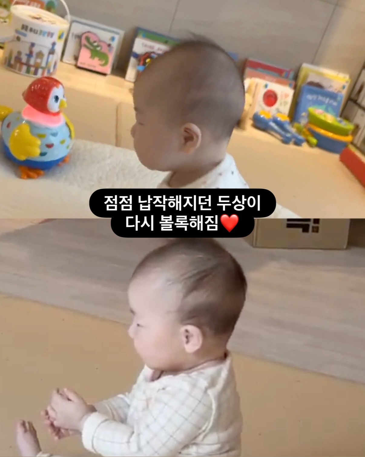 아이누오 두상지켜 베개