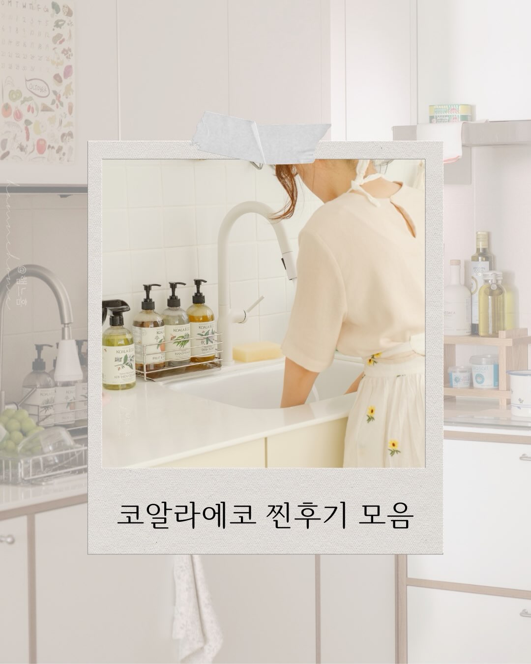코알라에코 24차