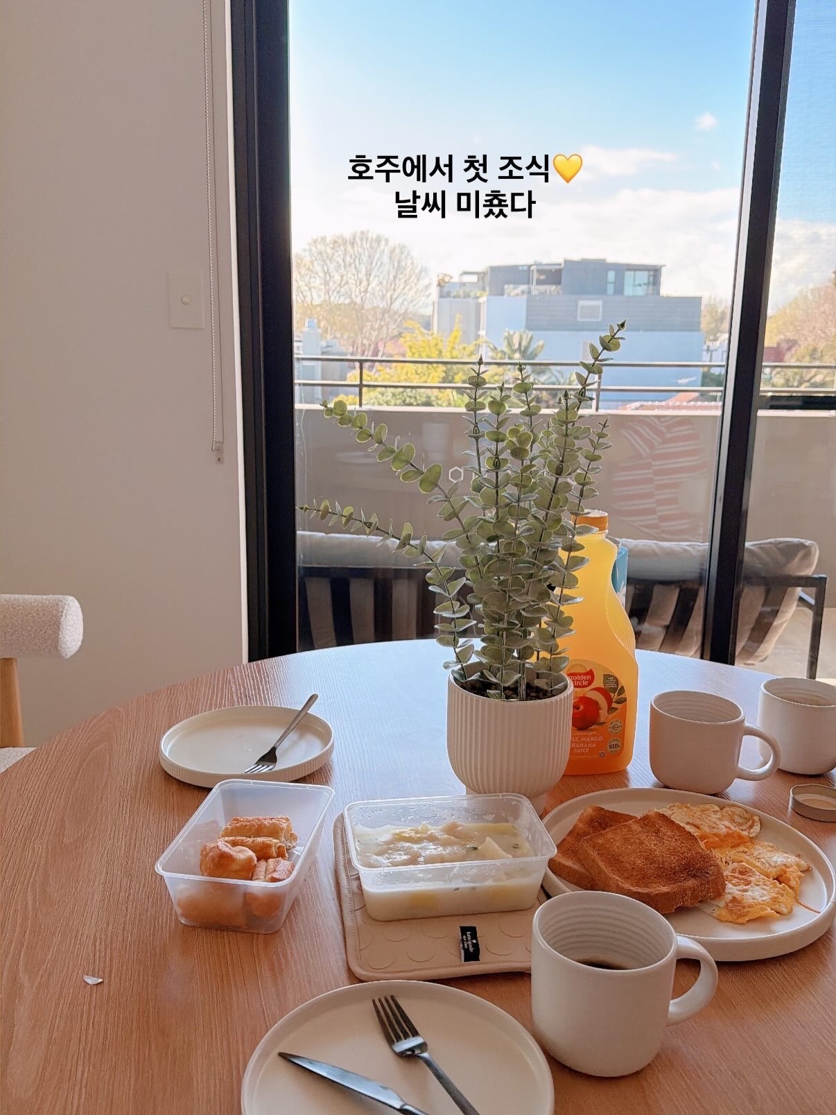 오메가 젤리형 영양제