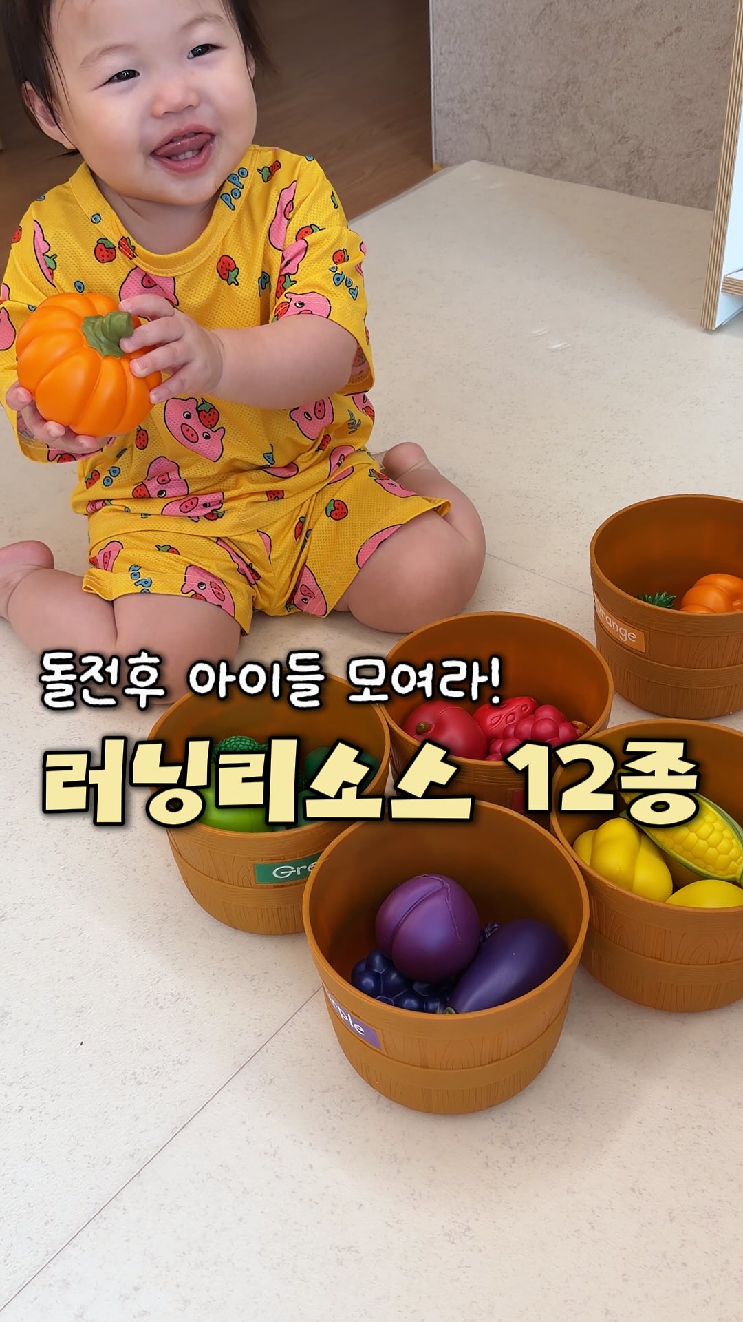 러닝리소스 발달교구 12종