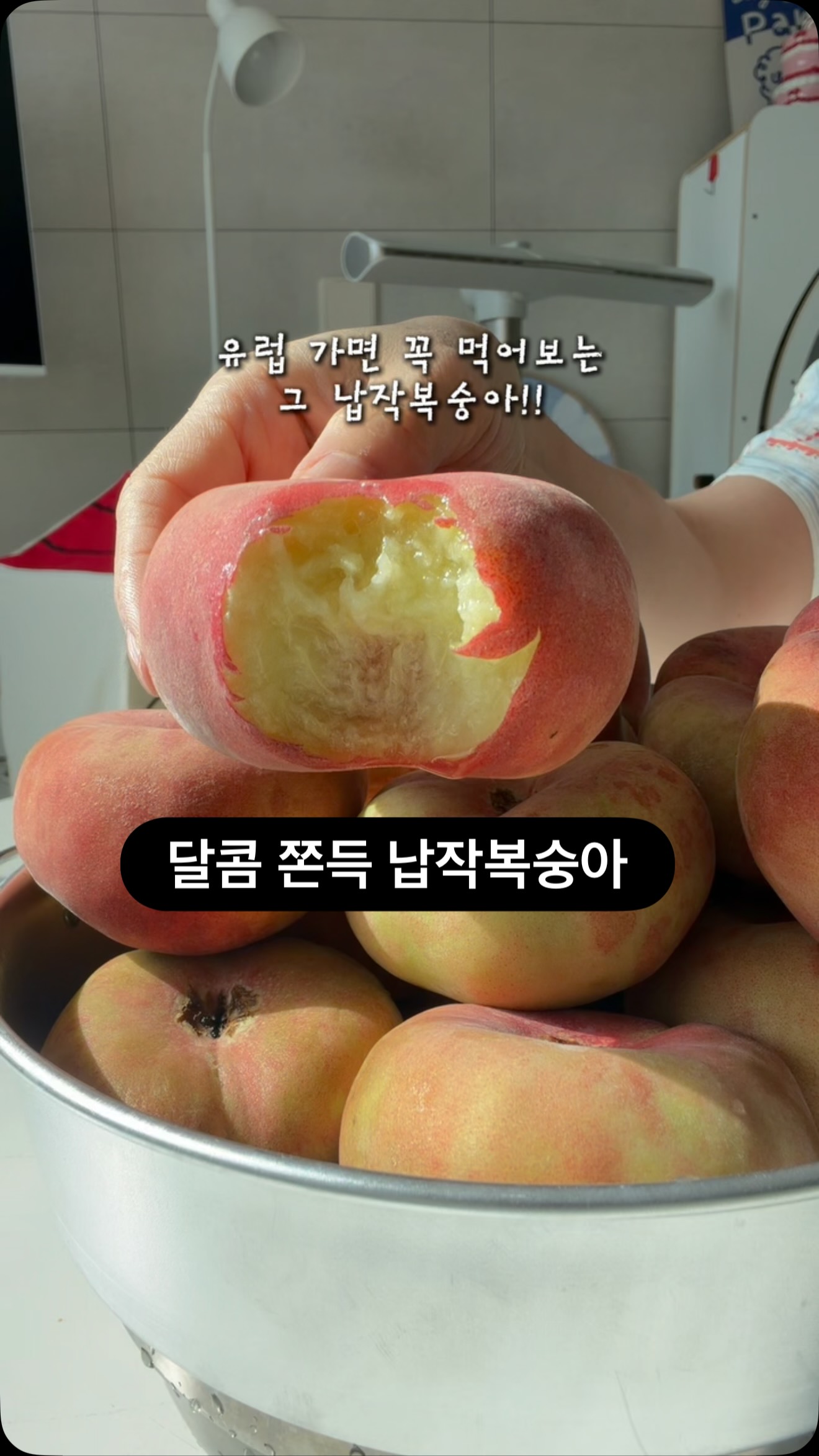 거반도 납작복숭아