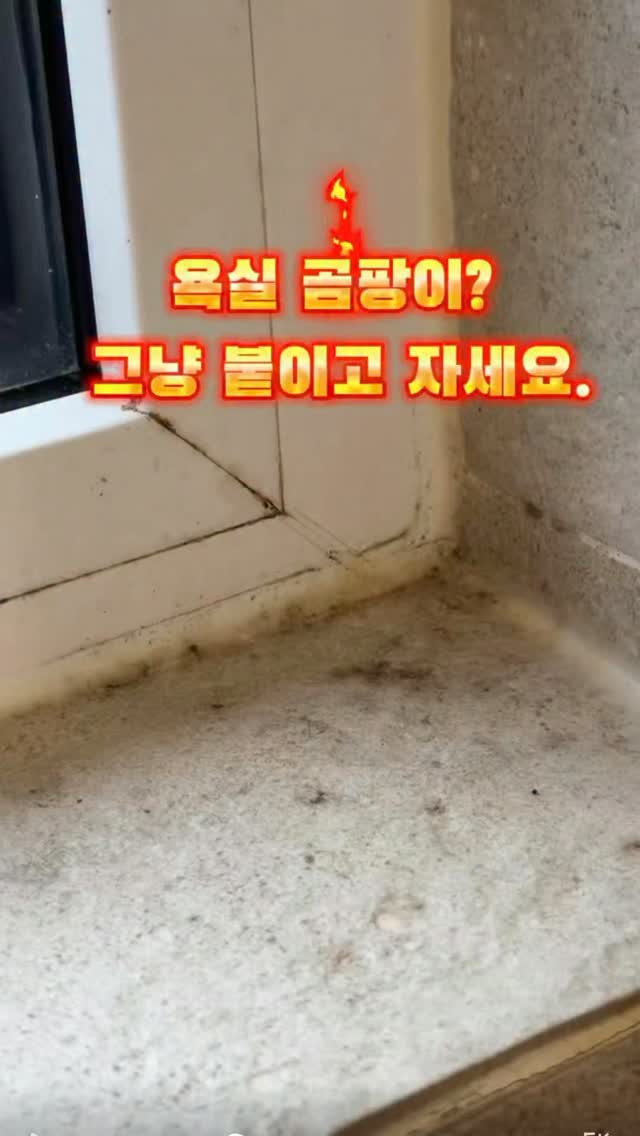 곰팡이 제거 테이프