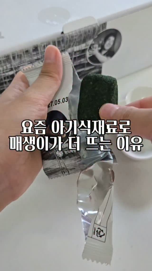 완도몰 감태