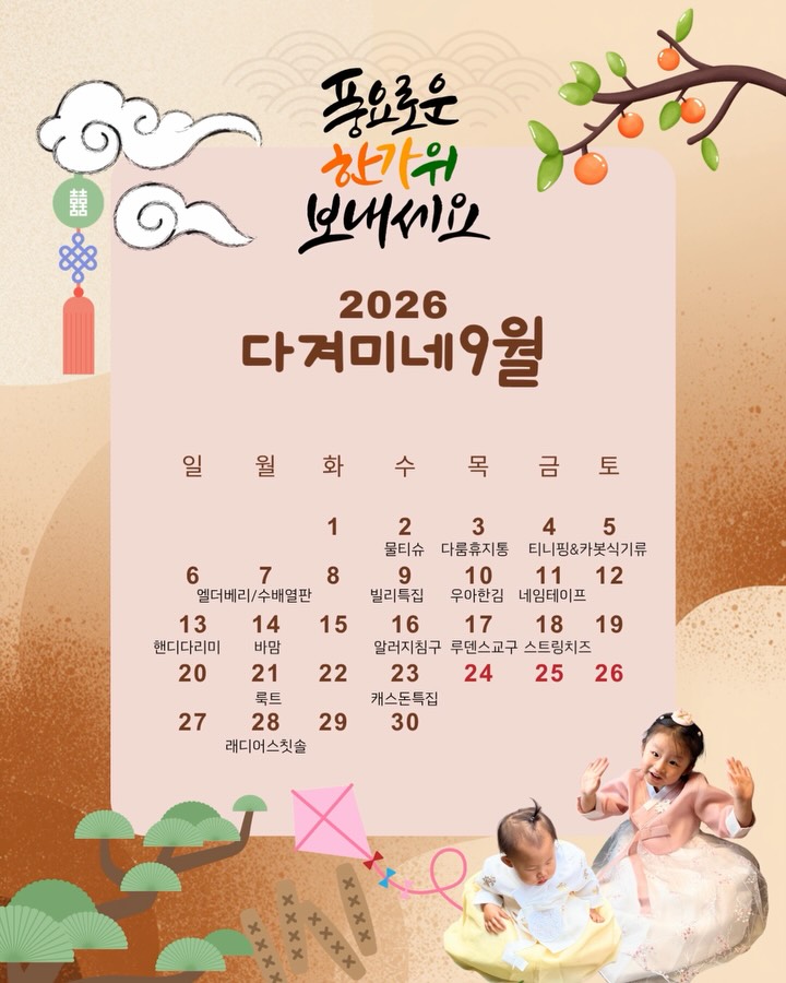 엘더베리 빌베리 프로폴리스