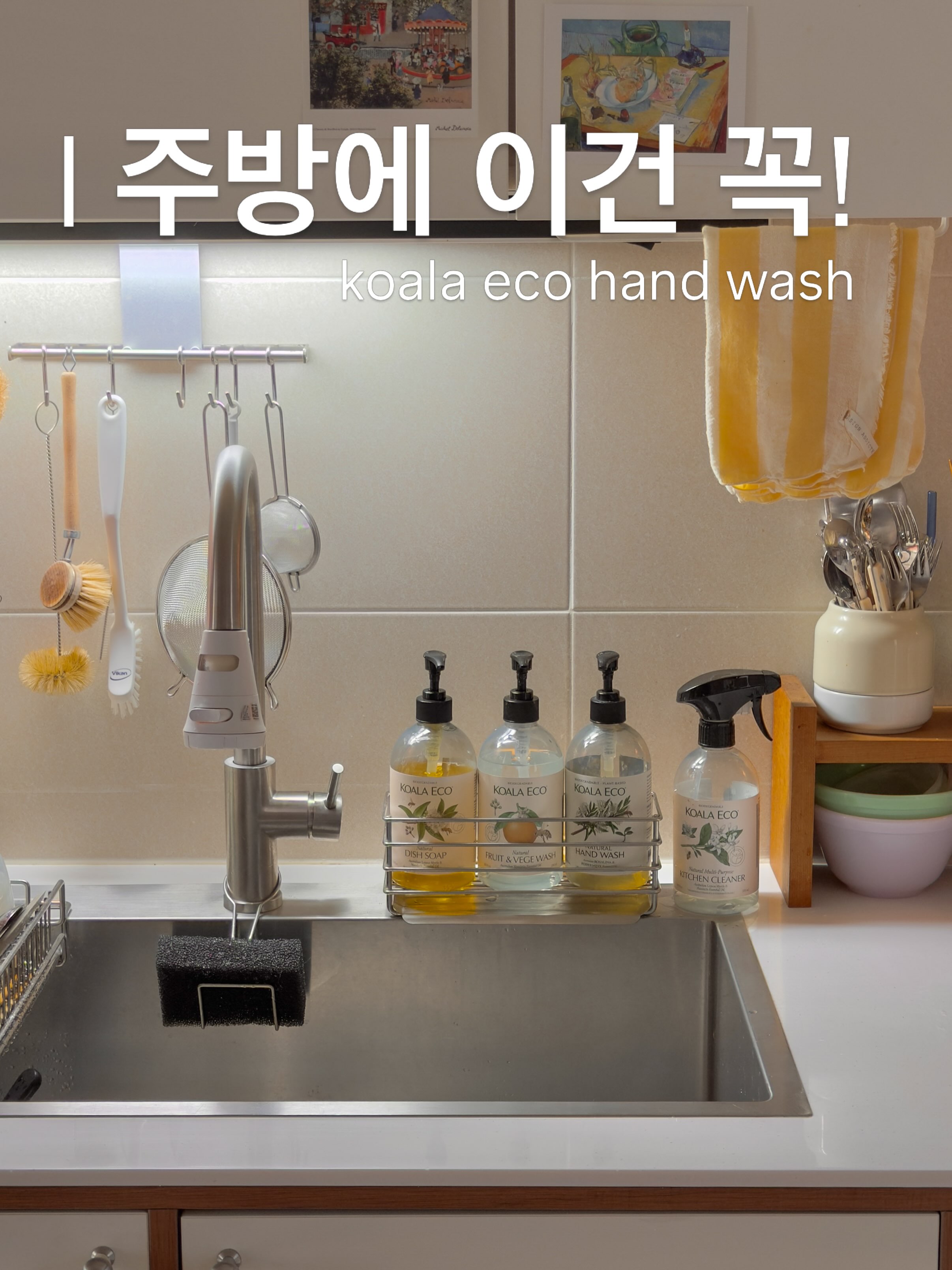 코알라에코 주방용 핸드워시