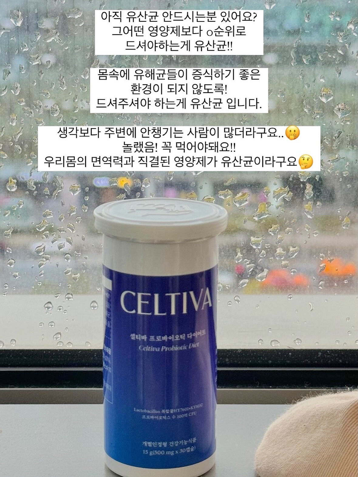 셀티바 프로바이오틱 다이어트 유산균