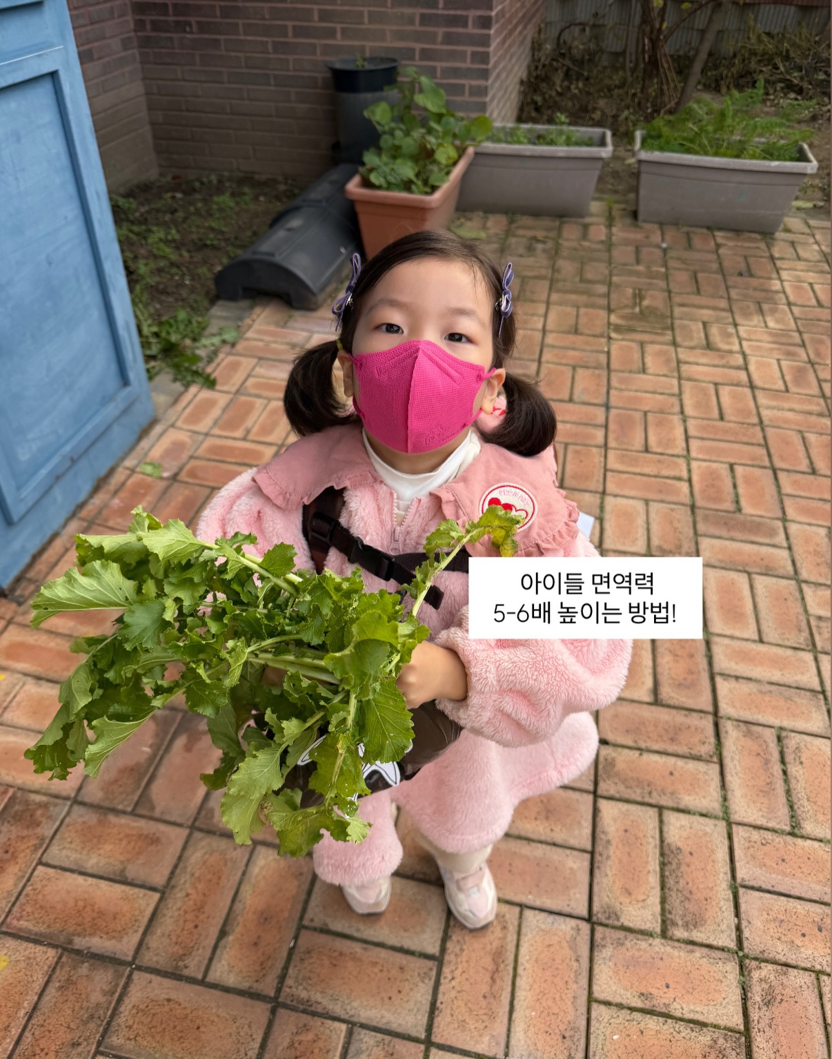 료니맘픽 마스크