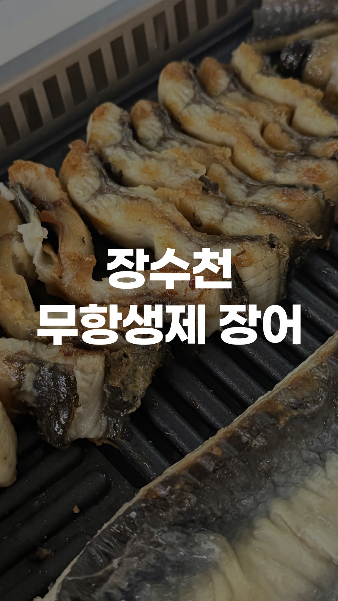 장수천 무항생제 장어