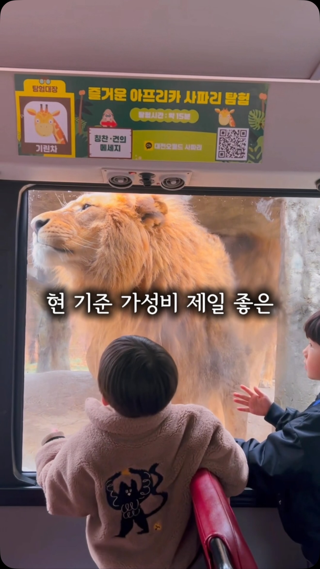 대전 오월드 자유이용권
