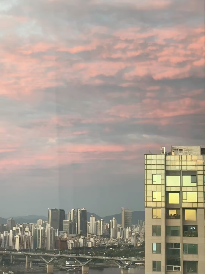 산삼순백 산삼진액