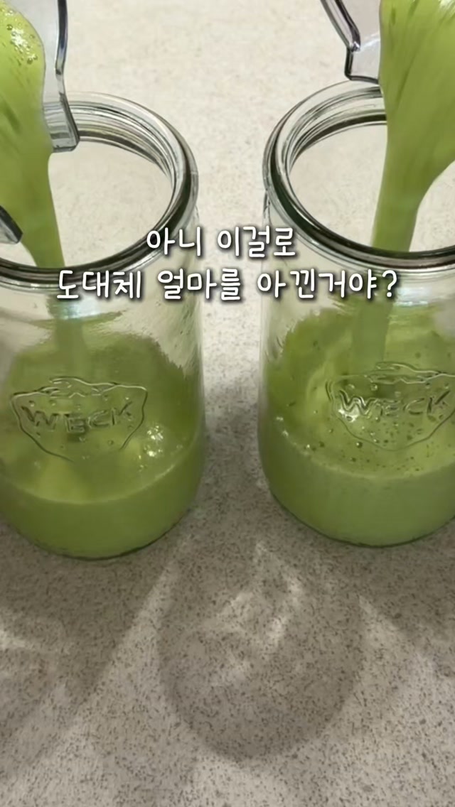 뉴트리불렛 블렌더