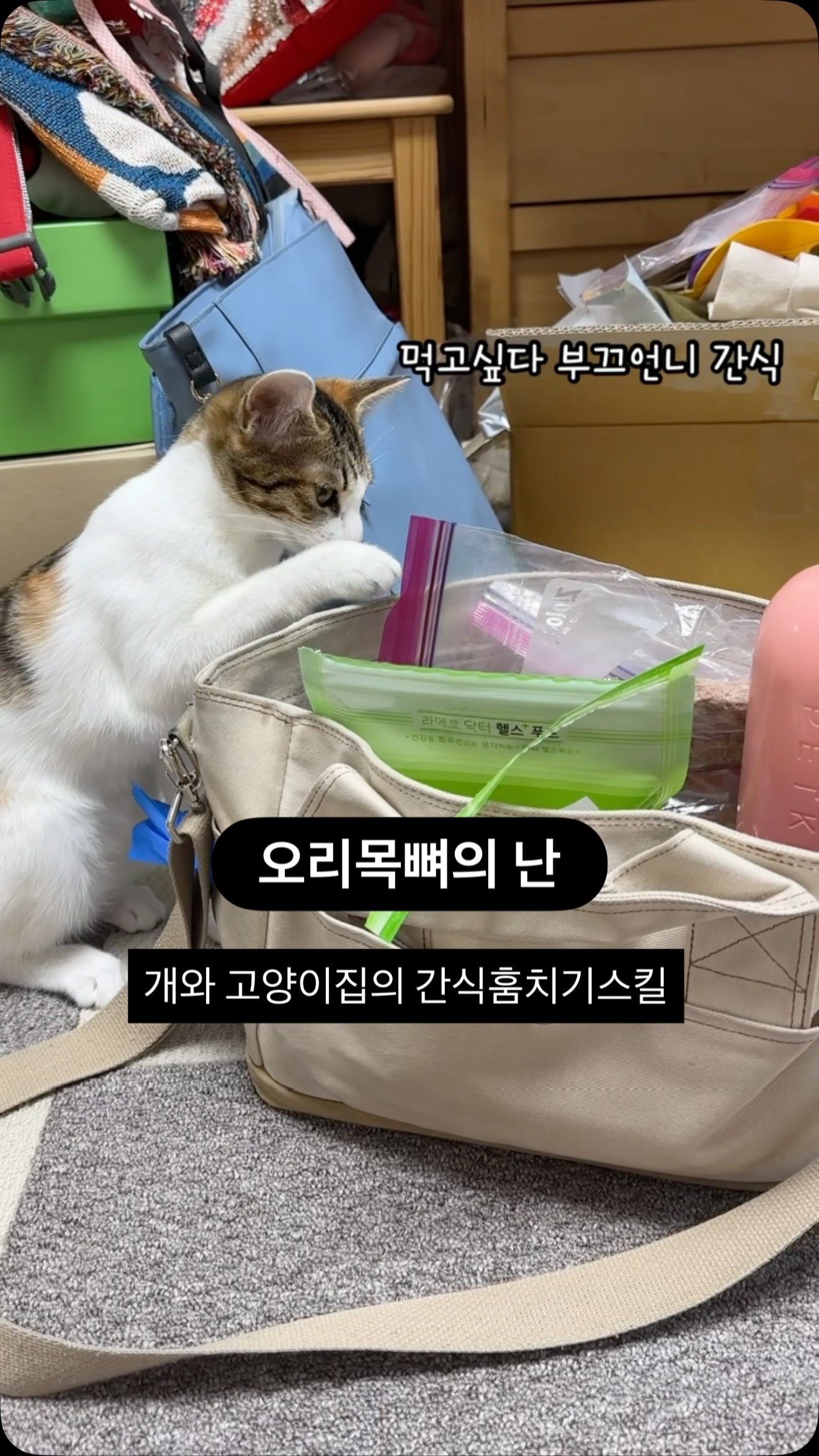 동결건조 오리안심