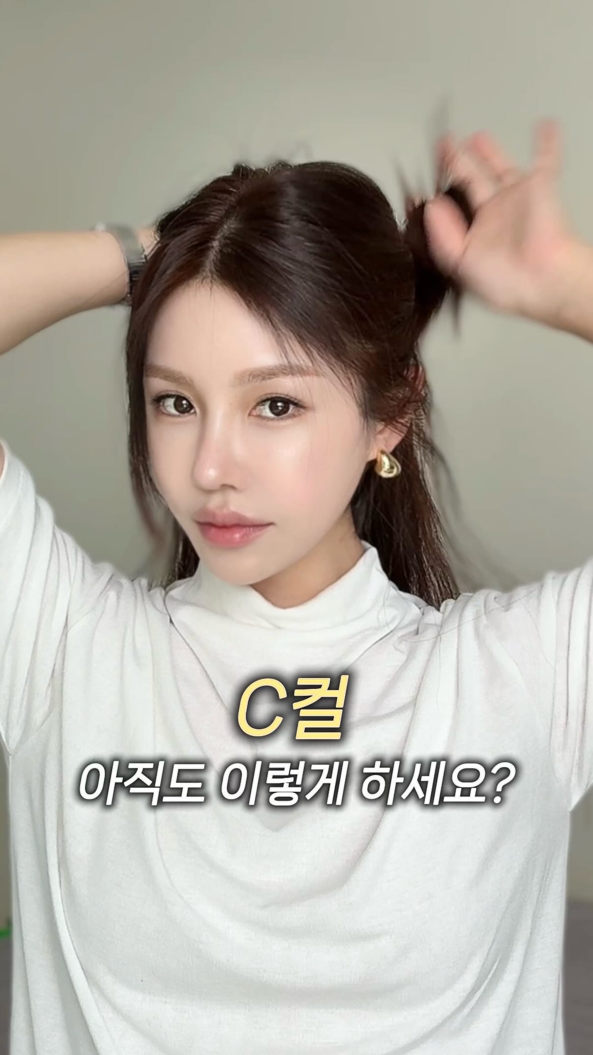 휙스타일러