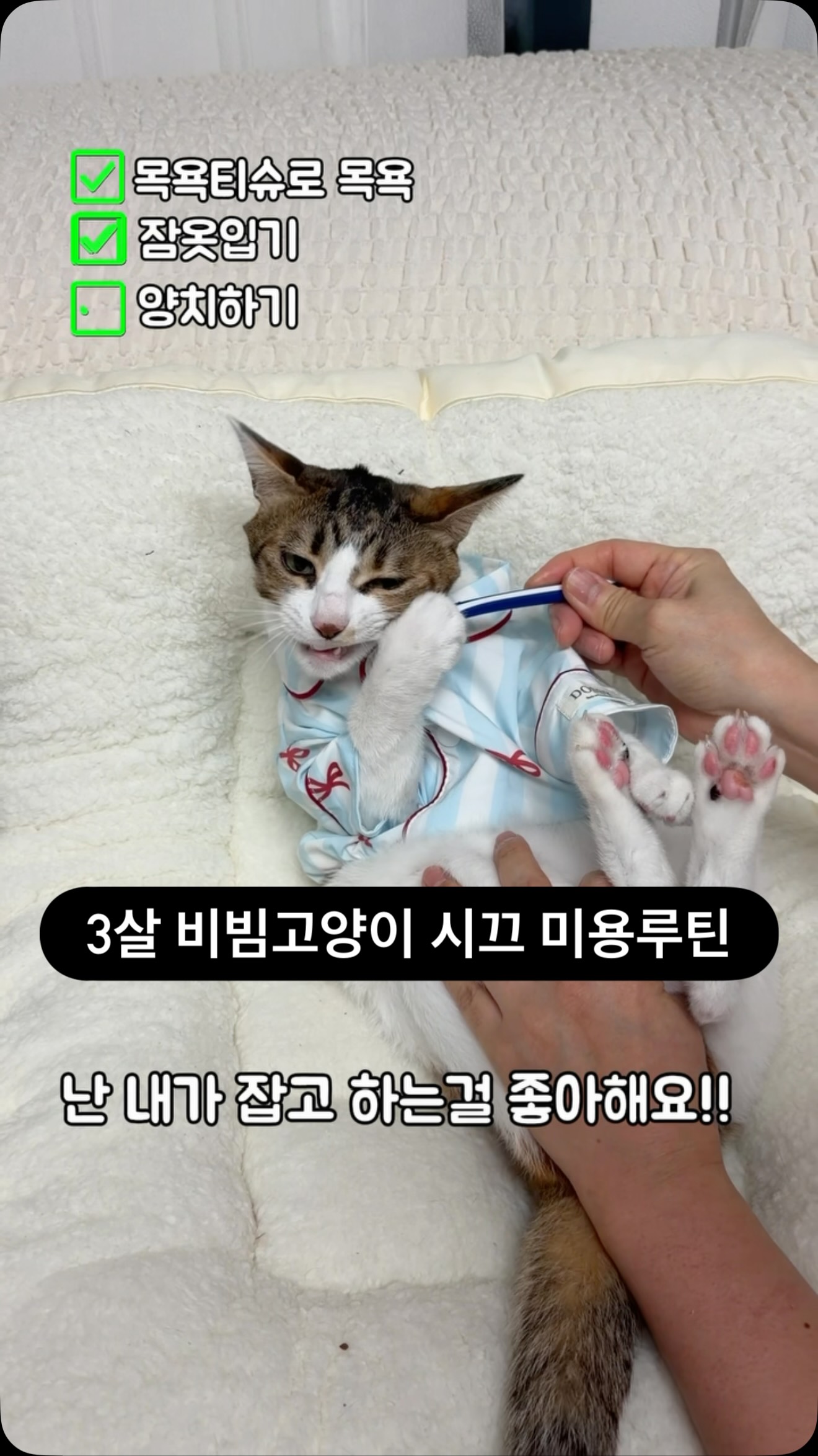차렵침구 셋트