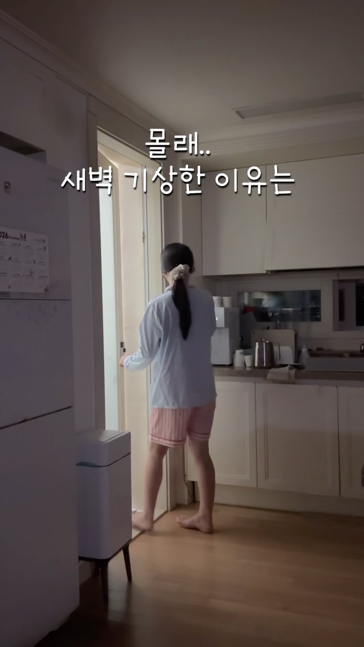 소핀 세탁조클리너