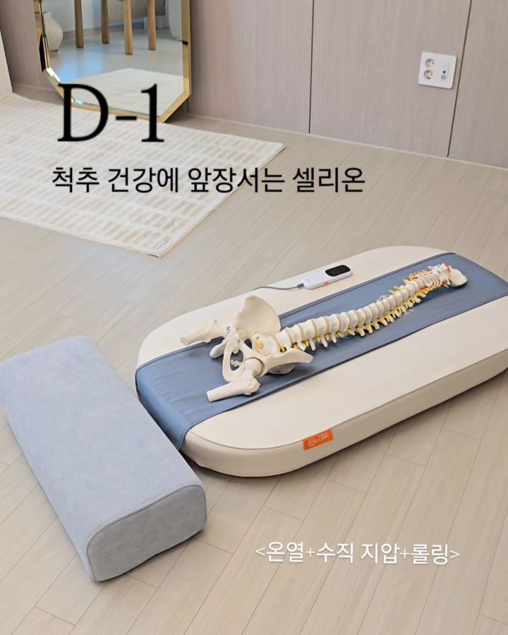 셀리온 척추 온열 안마 베드