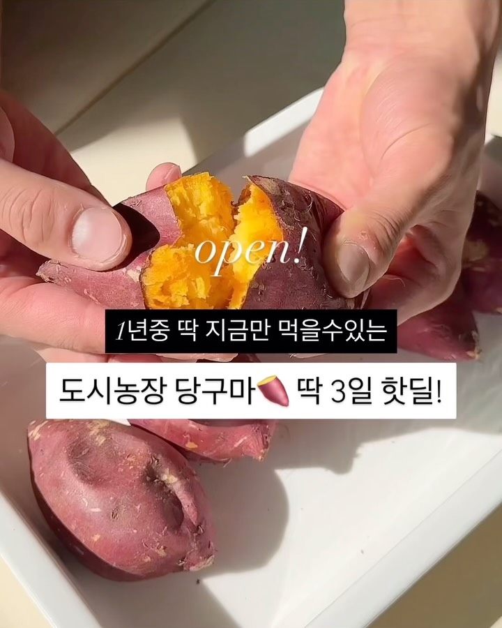 도시농장 당구마