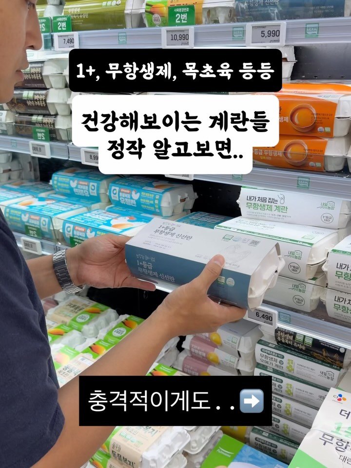 난각1번 무항생제 계란 20구