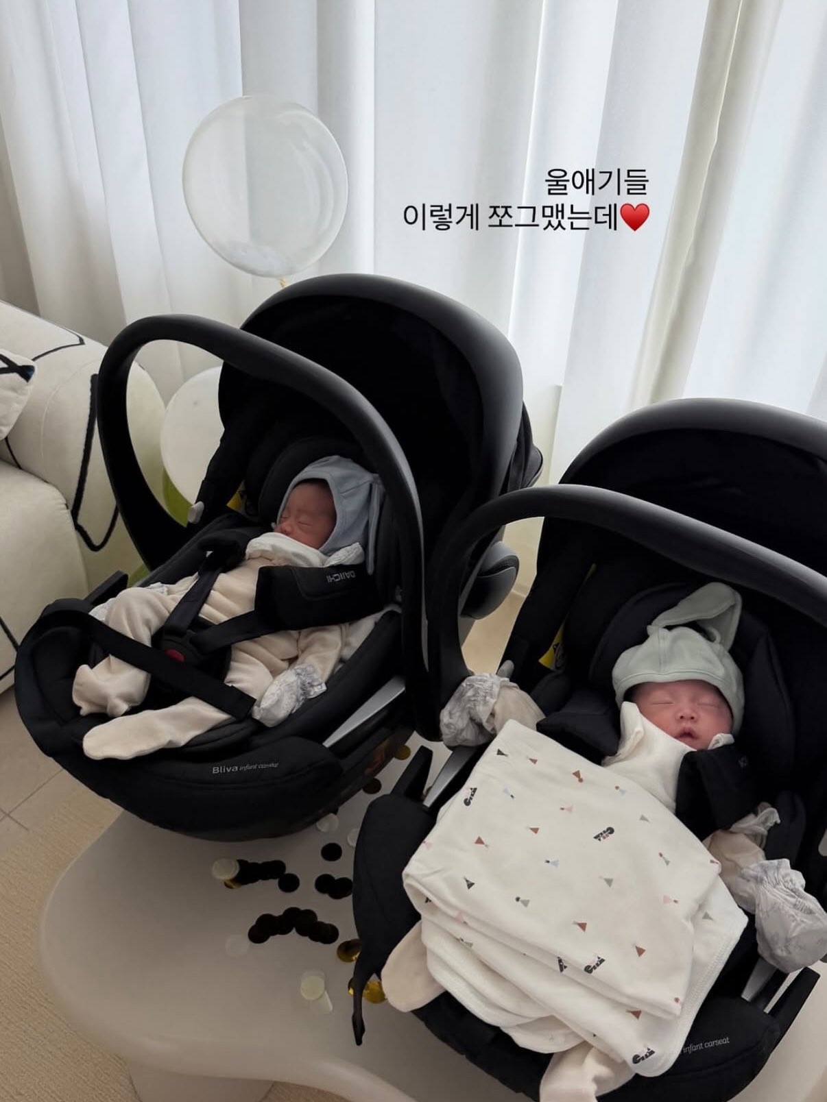 다이치 블리바 360 카시트
