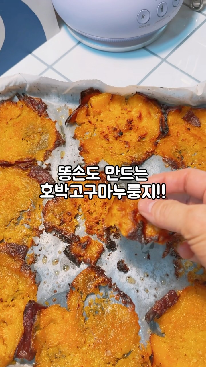도시농장 호박고구마