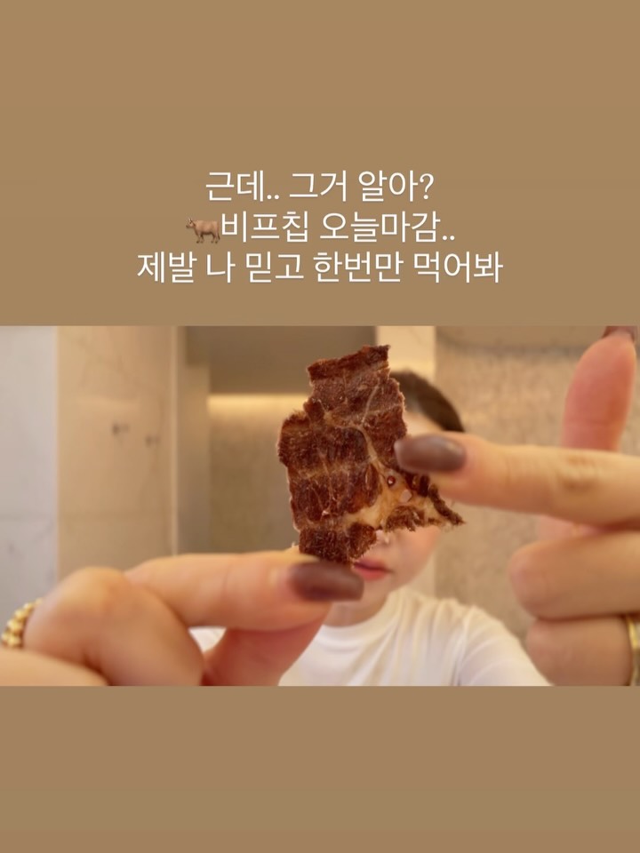 미틀리 비프칩