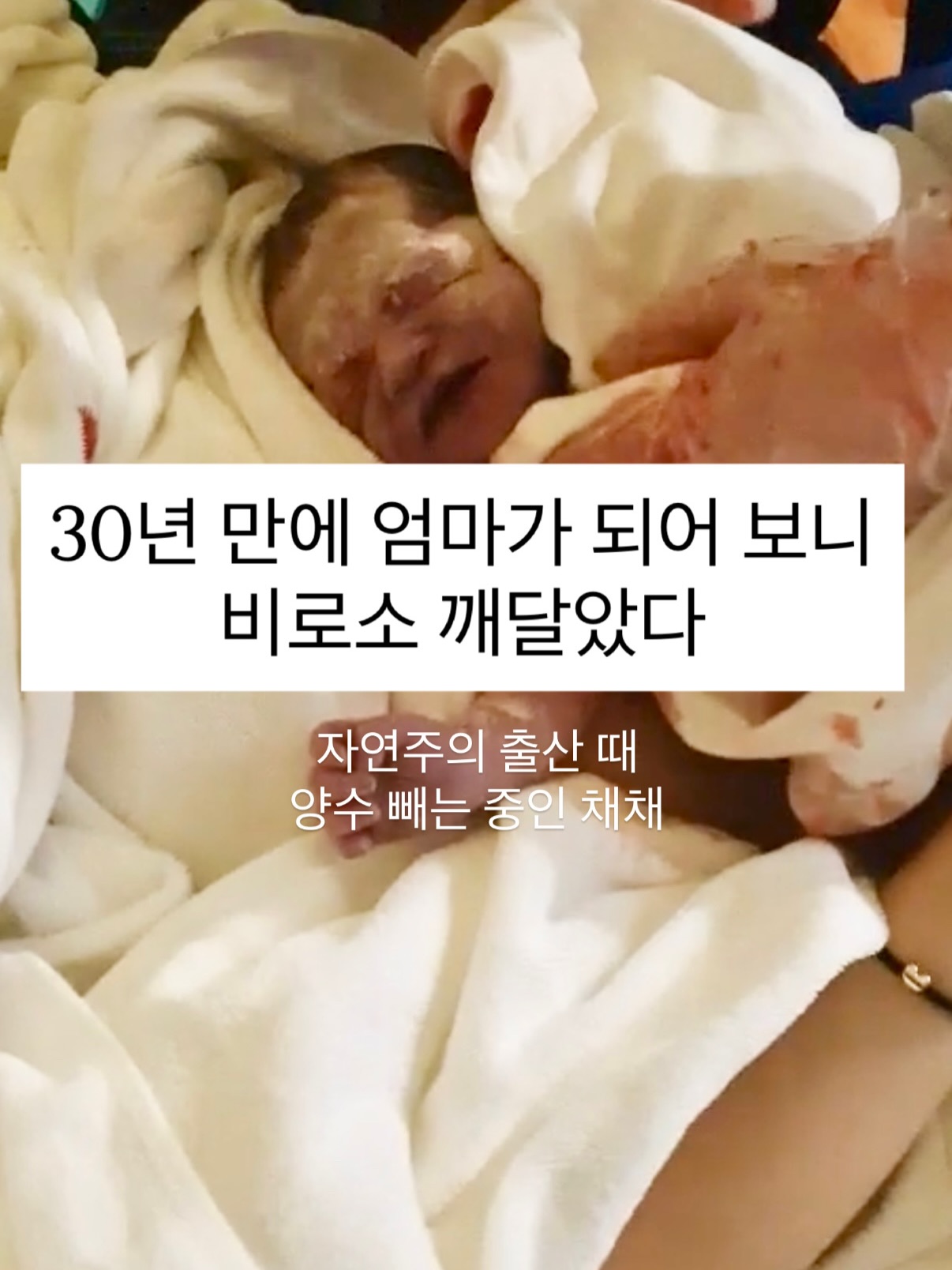속초 덕장 손질 생선포