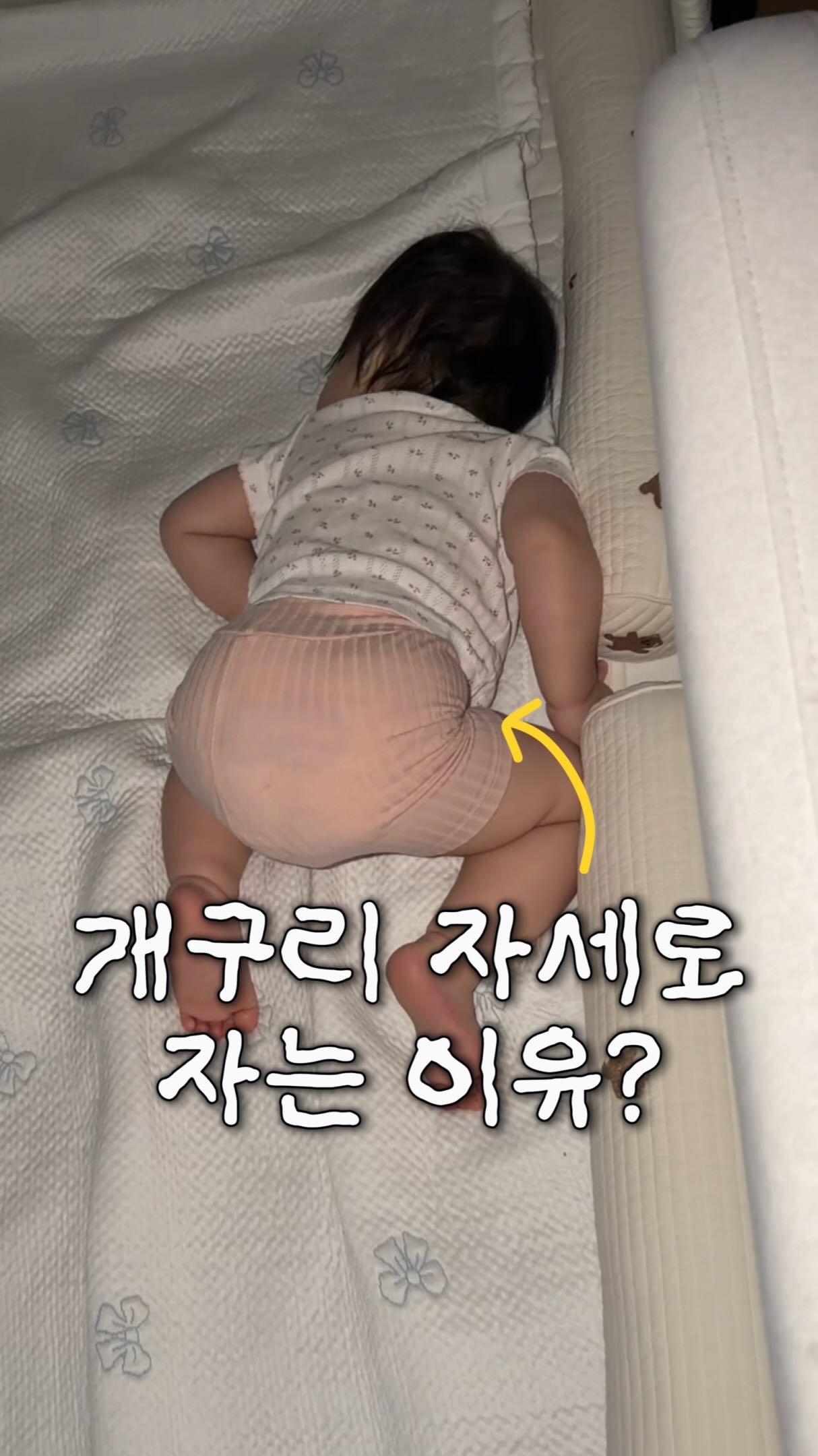 코알라 3종(코알라밤·코알라바스·코알라쿨)