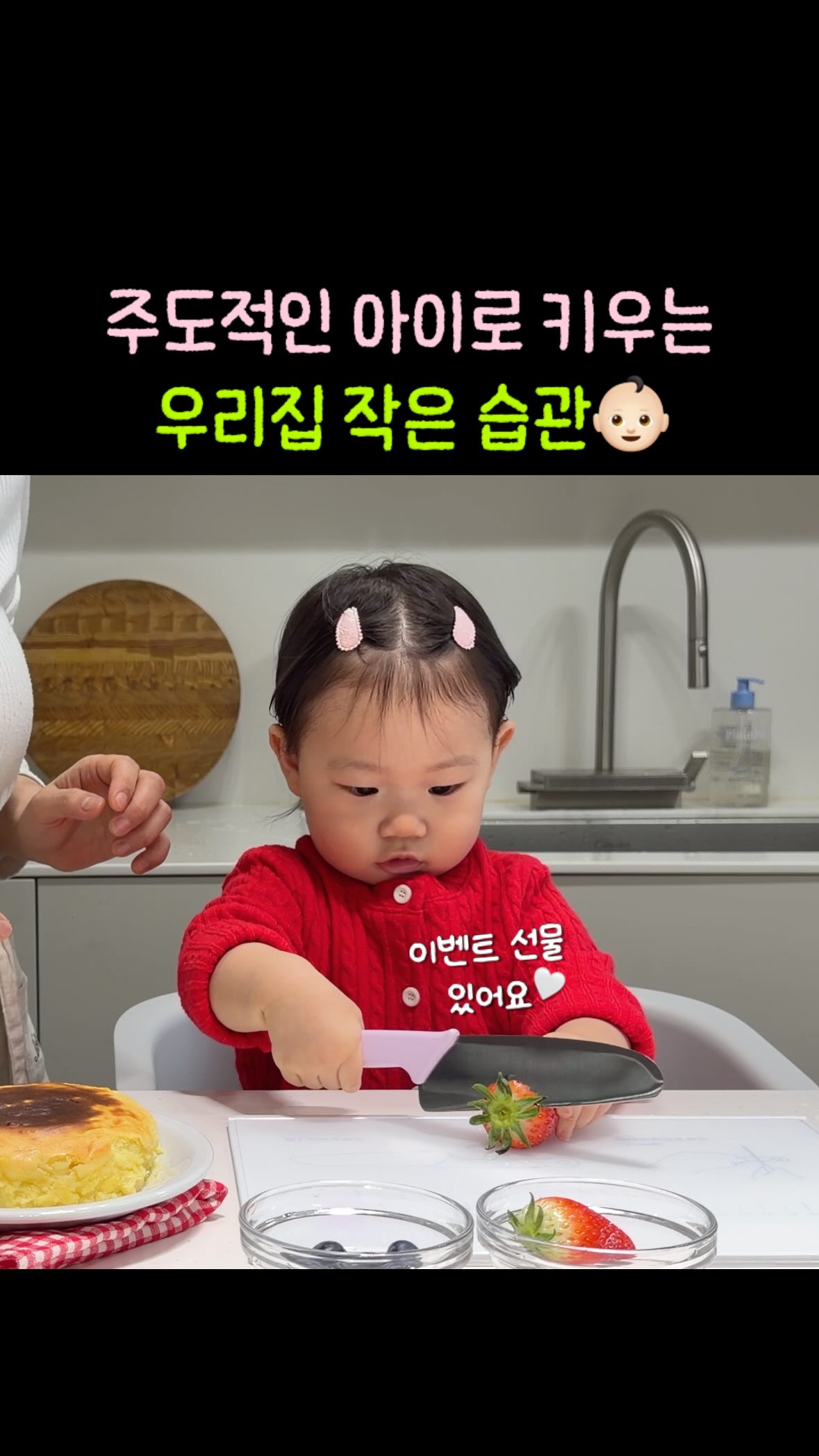 KAI 리틀셰프 컬렉션